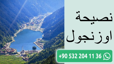 نصيحة اوزنجول